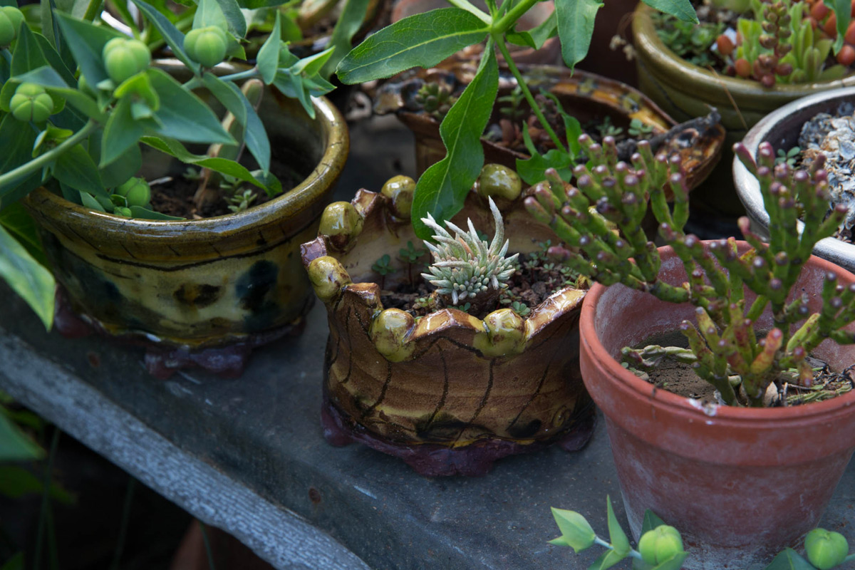 Jean-Nicolas-Gerard-Garden-Pots-with-Succulents