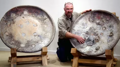 tp nc enormous dish Watch